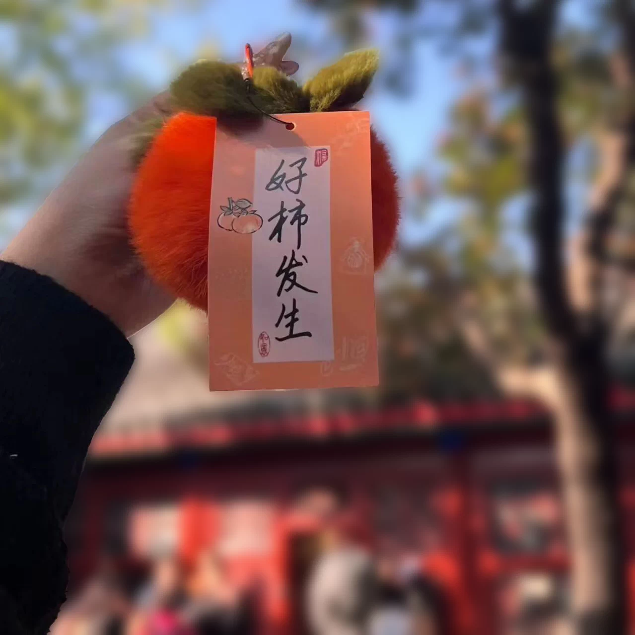 好柿发生毛绒挂件